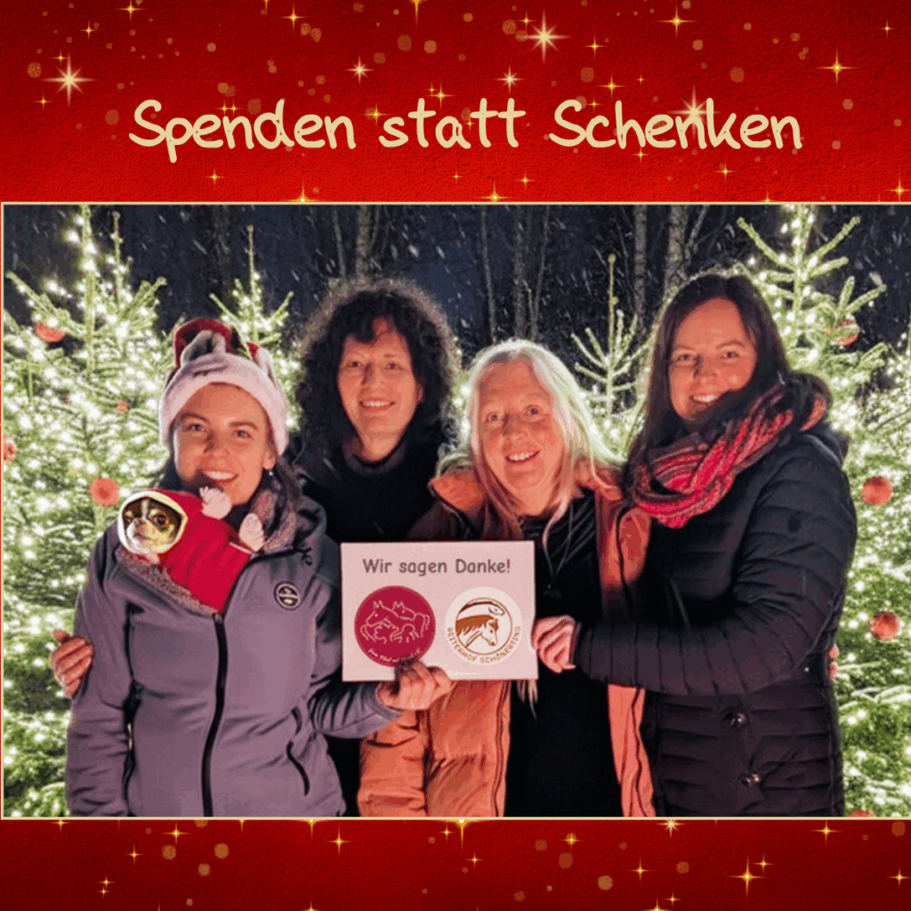Spenden statt Schenken zu Weihnachten 2025 - EUR 750 gehen von Maja Ambros Coaching an den Pferd und Mensch e.V. Der Verein unterstützt den Reiterhof Schönerting in Vilshofen a.d. Donau und somit soziale Projekte in der niederbayerischen Region